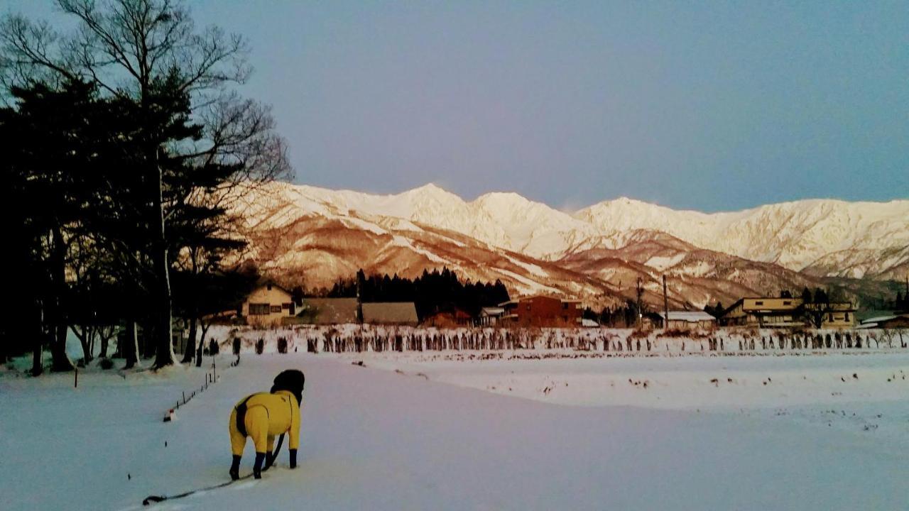 Little Alaskan Guest House Hakuba Zewnętrze zdjęcie